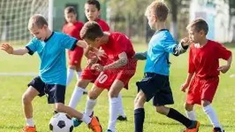 外贸网站源码服务领先者数商云：技术引领全球贸易数字化转型浪潮